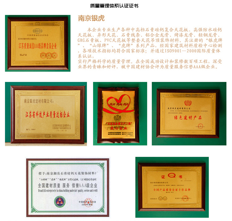 羅馬柱、羅馬柱頭系列